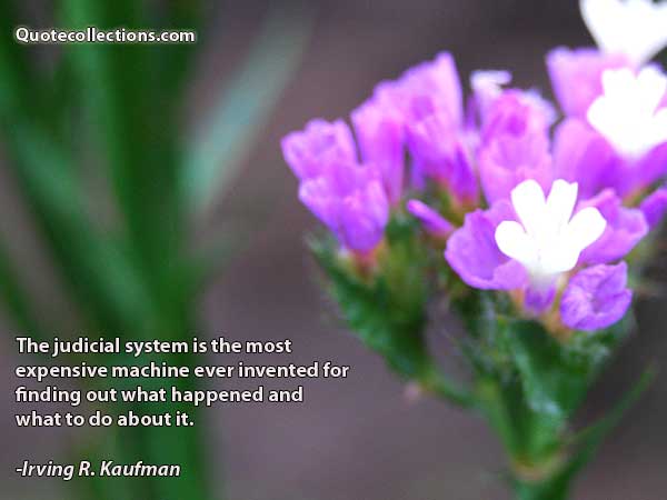 Irving R. Kaufman Quotes4